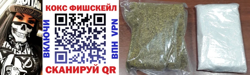 Кокаин Fish Scale  ОМГ ОМГ как зайти  Можга  купить наркотик 