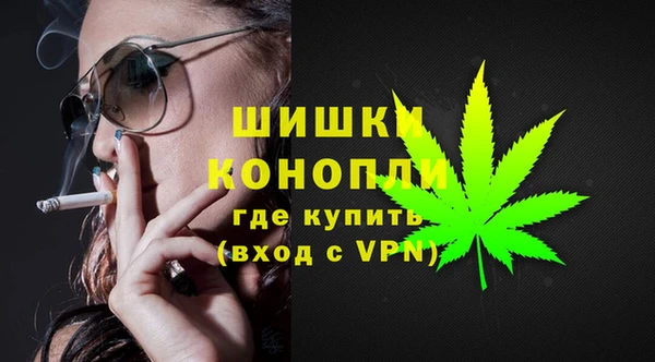 мет Арсеньев