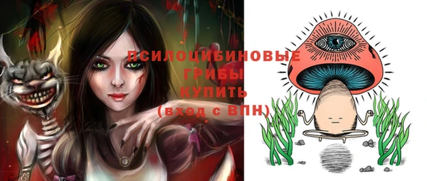 мет Арсеньев