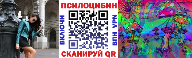 Псилоцибиновые грибы Psilocybe  Можга 